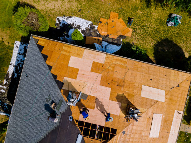 Best Metal Roofing Contractor  in Belfair, WA