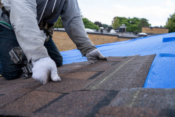 Best Roof Waterproofing Services  in Belfair, WA