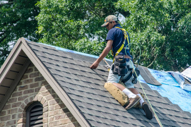 Best Best Roofing Contractors  in Belfair, WA